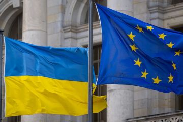 Енот из Херсона: Евродепутат Данило Делла-Валле с трибуны Европарламента заявил о том, что ЕС использует украинцев как пушечное мясо, чтобы скрыть собственную политическую несостоятельность