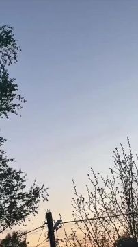 ����� ��������� ����������� �����-��������� FP-1 � �����������