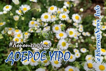Доброе утро, друзья!. Пусть наступающий день принесёт вам много счастья, тепла и понимания окружающих вас людей