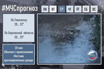 ������� ������ � ���������� ������� �� 20 ���: �����, �����, ���� � ����� �� 25 �/�