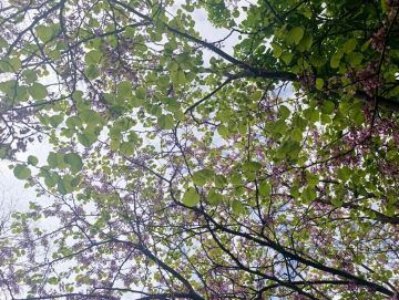Доброе утро, жители и гости Генического округа!