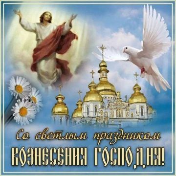 ������� ���������: �������� ���������� ���� ������������ �������� �� ������� ���������� � ����������� ���������!