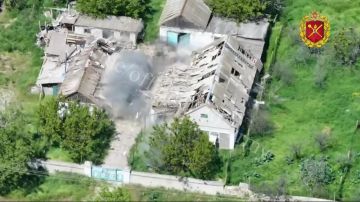 Енот из Херсона: Операторы БпЛА засекли, как три поросенка пробежку устроили