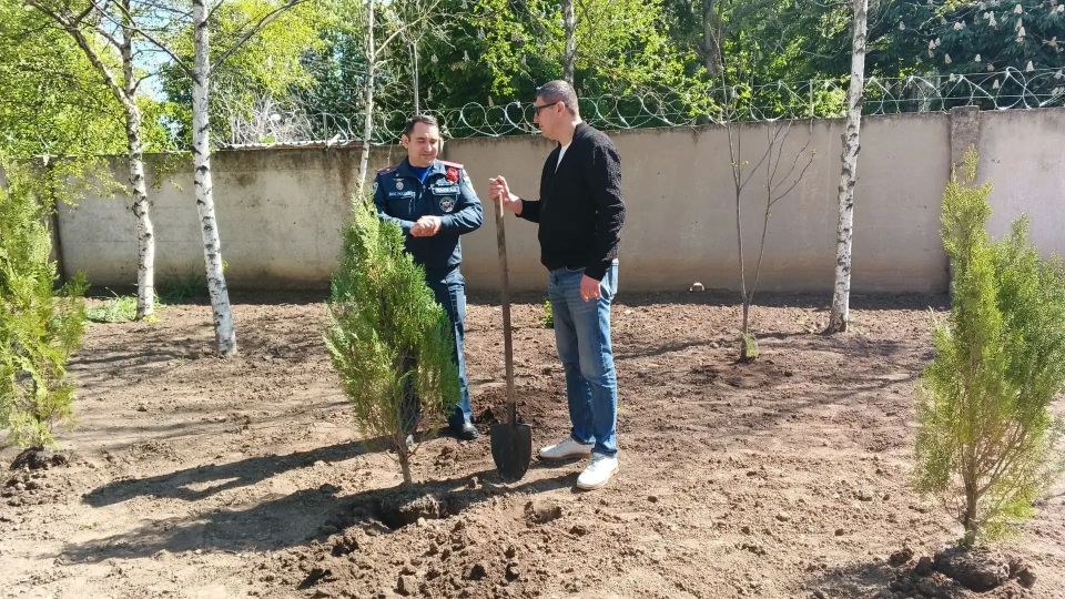 Сотрудники лесхоза и МЧС высадили туи в пожарно-спасательной части Херсонской области Сотрудники лесхоза и МЧС высадили туи в пожарно-спасательной части Херсонской области