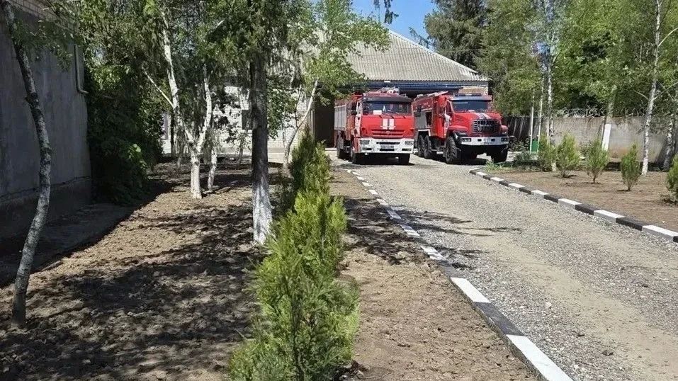 Сотрудники лесхоза и МЧС высадили туи в пожарно-спасательной части Херсонской области Сотрудники лесхоза и МЧС высадили туи в пожарно-спасательной части Херсонской области