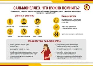 Сальмонеллёз. Меры профилактики