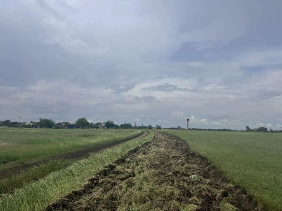 В Дмитровке обновляют противопожарные полосы