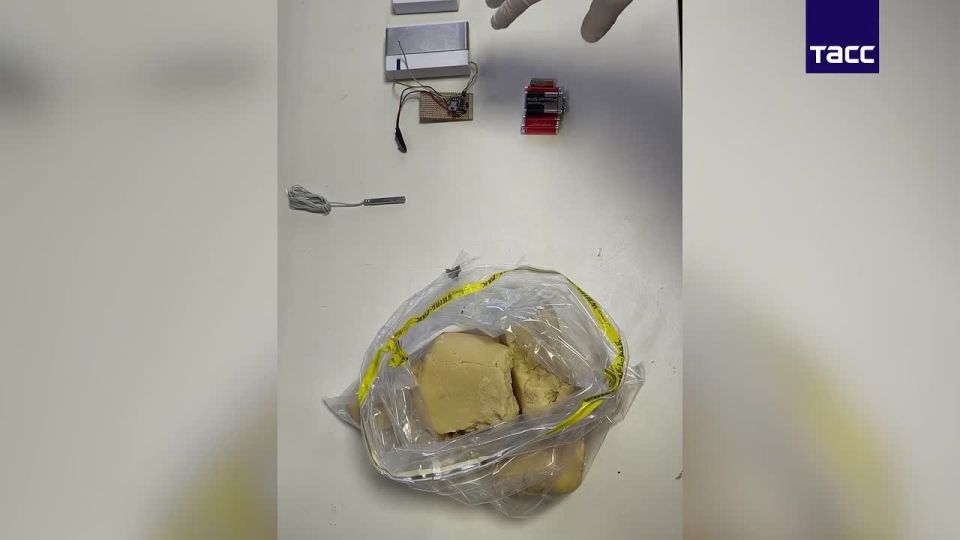 В Новороссийске задержали агента украинских спецслужб, планировавшего подрыв объекта энергетики, сообщает ФСБ