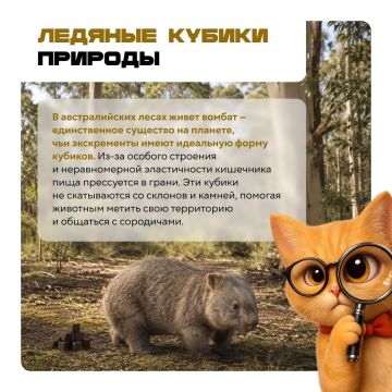 ���������: ����� ���� �������� ��� ��� �� ����� �������!