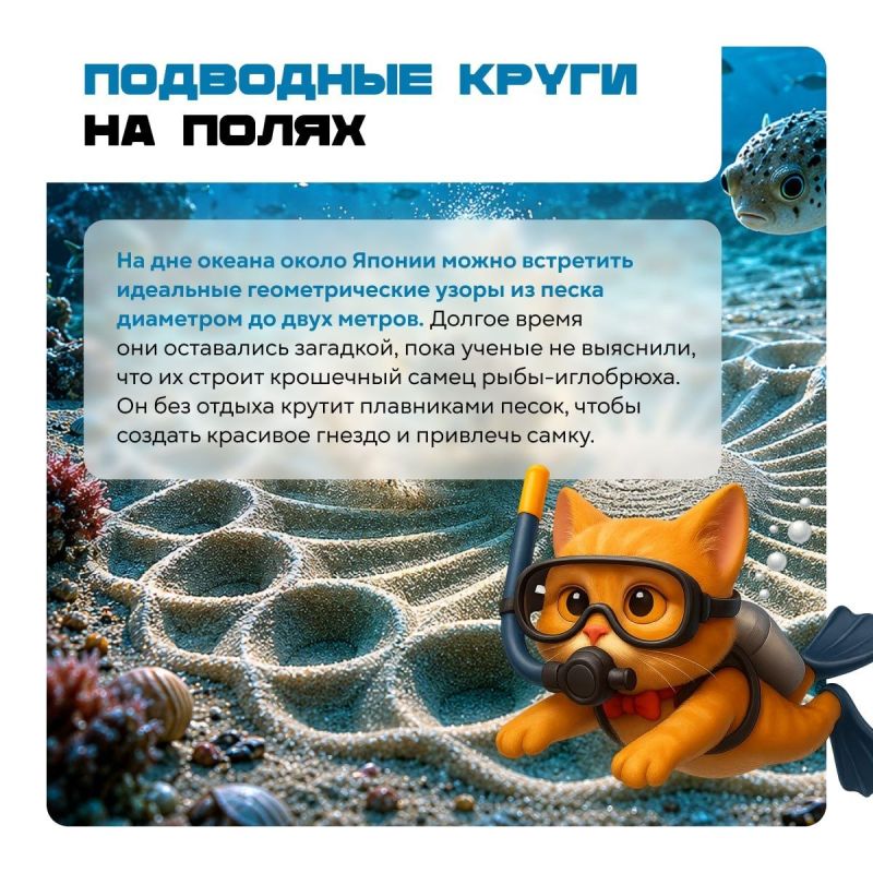 Осторожно: после этих карточек мир уже не будет прежним! Осторожно: после этих карточек мир уже не будет прежним!