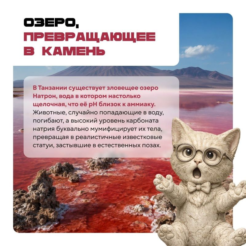 Осторожно: после этих карточек мир уже не будет прежним! Осторожно: после этих карточек мир уже не будет прежним!