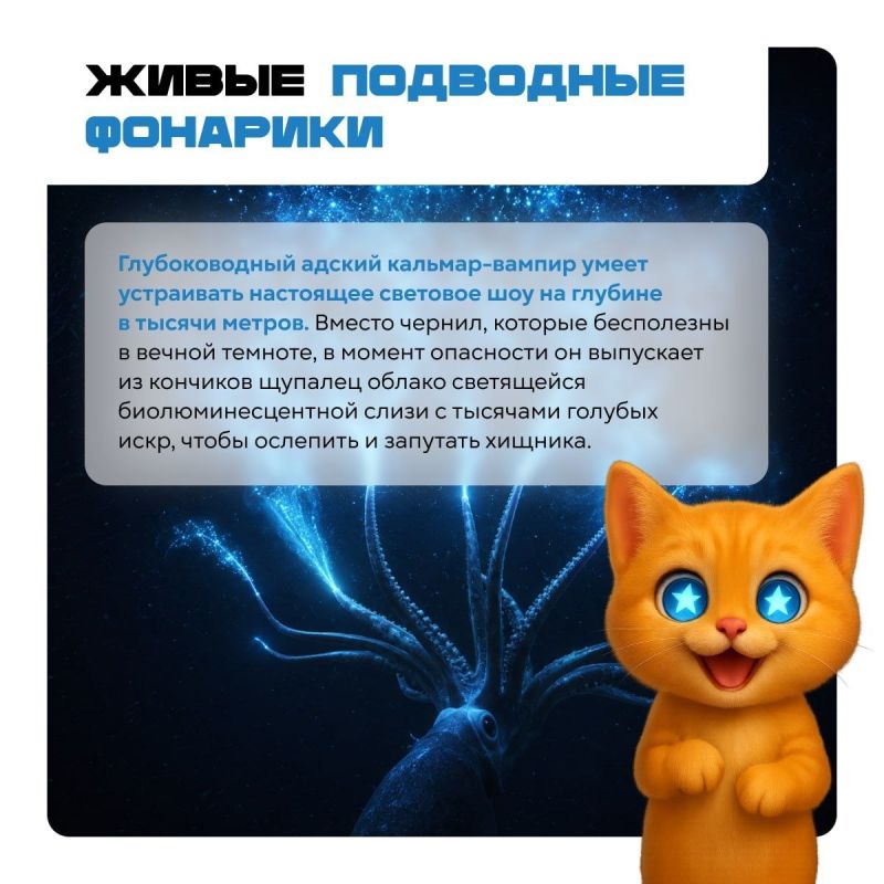 Осторожно: после этих карточек мир уже не будет прежним! Осторожно: после этих карточек мир уже не будет прежним!