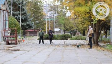 Психологический портрет Херсона под оккупацией ВСУ: 60% людей живут в хронической тревоге, 41% — с психическими расстройствами