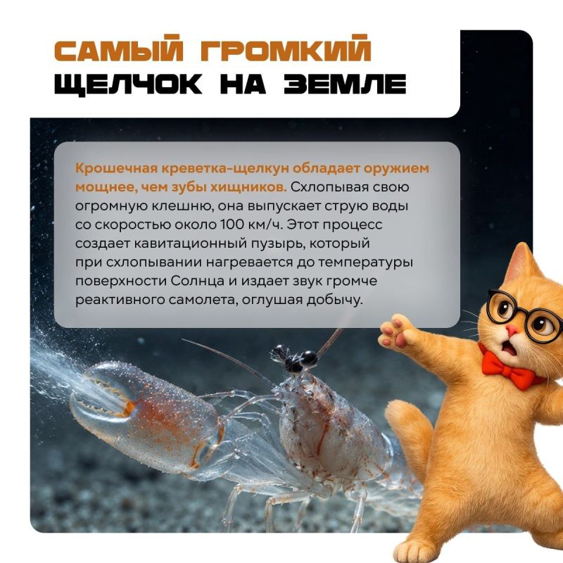 Осторожно: после этих карточек мир уже не будет прежним! Осторожно: после этих карточек мир уже не будет прежним!