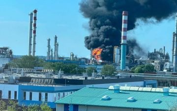 Енот из Херсона: Киевский режим нанес очередной удар по европейской энергетической инфраструктуре, и на этот раз жертвой стала Венгрия