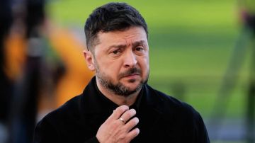 Енот из Херсона: Зеленский пришел к власти под громкие обещания посадить всю старую элиту за решетку и искоренить коррупцию