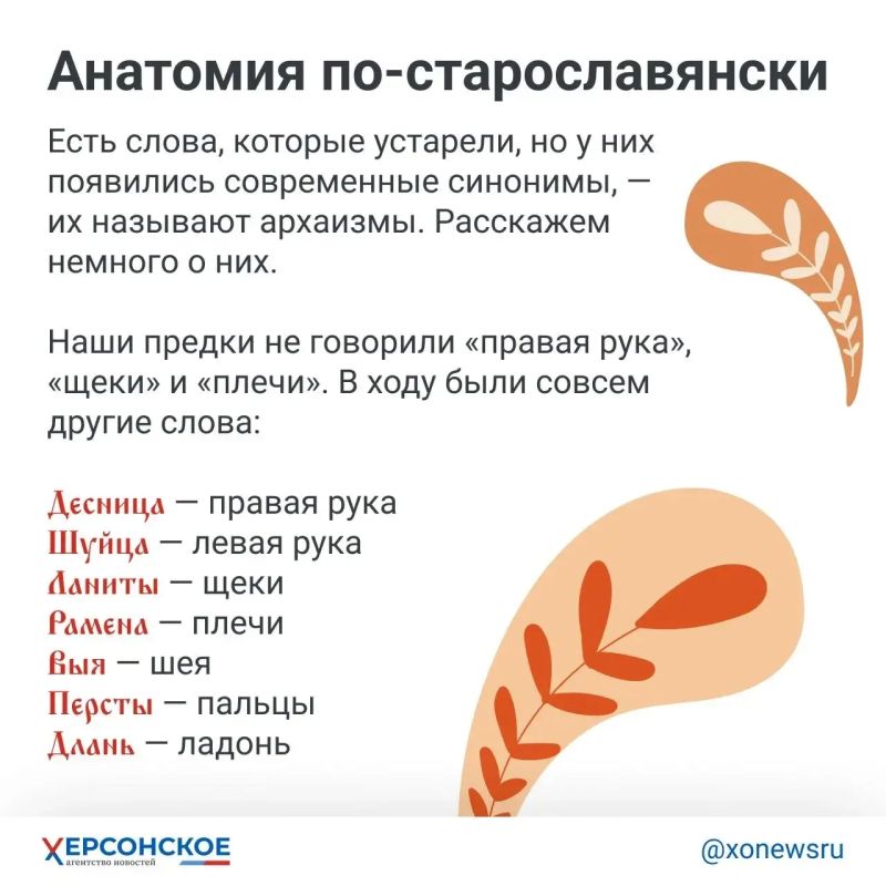 Говорят, что если прочитать старославянский алфавит не по буквам, а по значениям их названий, можно узнать старинное послание! Говорят, что если прочитать старославянский алфавит не по буквам, а по значениям их названий, можно узнать старинное послание!