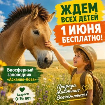 1 ���� ���� �� 16 ��� ������ ��������� �������� ������� ��������-����