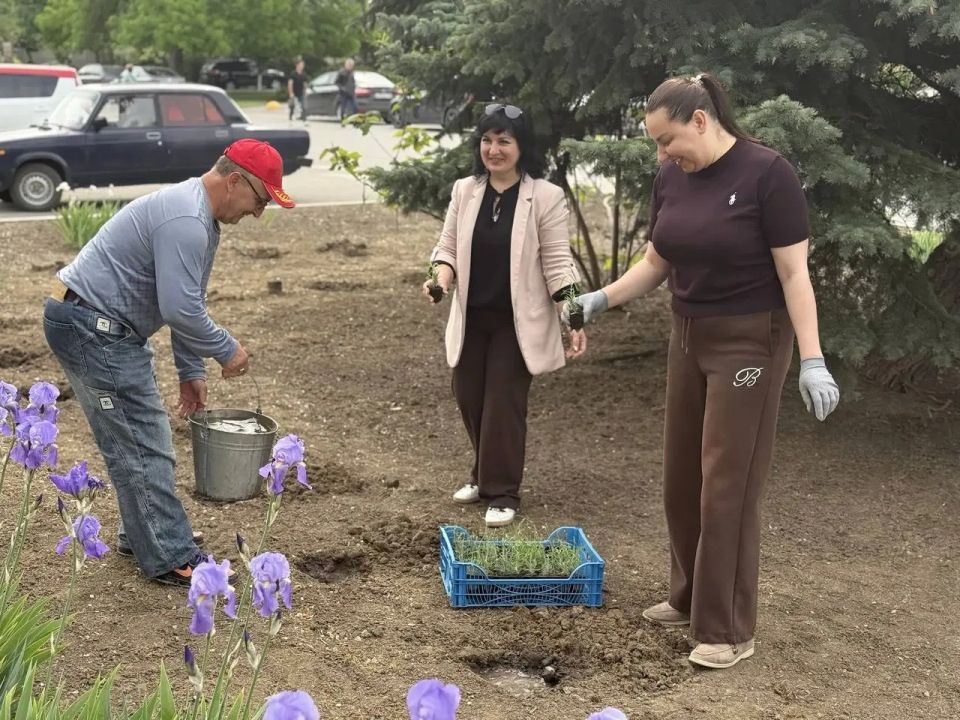 Около 200 кустов лаванды высадили в Новотроицком округе в рамках экологической акции "Деревья дружбы не знают границ" Около 200 кустов лаванды высадили в Новотроицком округе в рамках экологической акции "Деревья дружбы не знают границ"