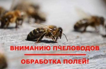 Вниманию пчеловодов Каланчакского муниципального округа! Обработка полей пестицидами 27 мая