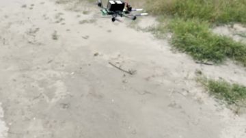 ������ ��������������� ���� ����������� ����� ������ ������� � ��������� ��� ��������� ����������� ��� � ���������� �������