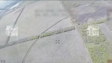 ��������� ����������� � ������������ ����������� �� ������� ��������� ��� ������� ����
