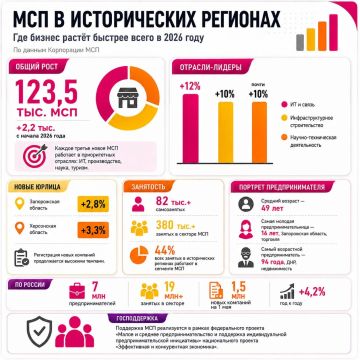 Количество малых и средних предприятий в исторических регионах увеличилось на 2,2 тысячи с начала 2026 года, сообщил Владимир Сальдо
