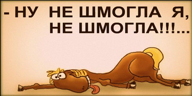 Россия с 30 мая ограничит ввоз плодоовощной продукции из Армении