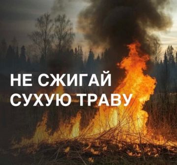 Отдел надзорной деятельности и профилактической работы по Чаплинскому МО Главного управления МЧС России по Херсонской области НАПОМИНАЕТ: