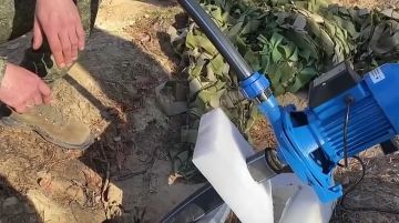 �������� ���� �� ��������� ��������� ���������� ��������: ���� ����� �������, ��� �� ���������� ����������� ������ ������ ��������