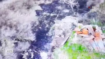 ������ ����������, ���������� �����������