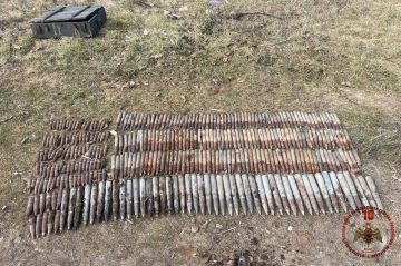 Более 350 взрывоопасных предметов обезвредили за неделю в Херсонской и Запорожской областях
