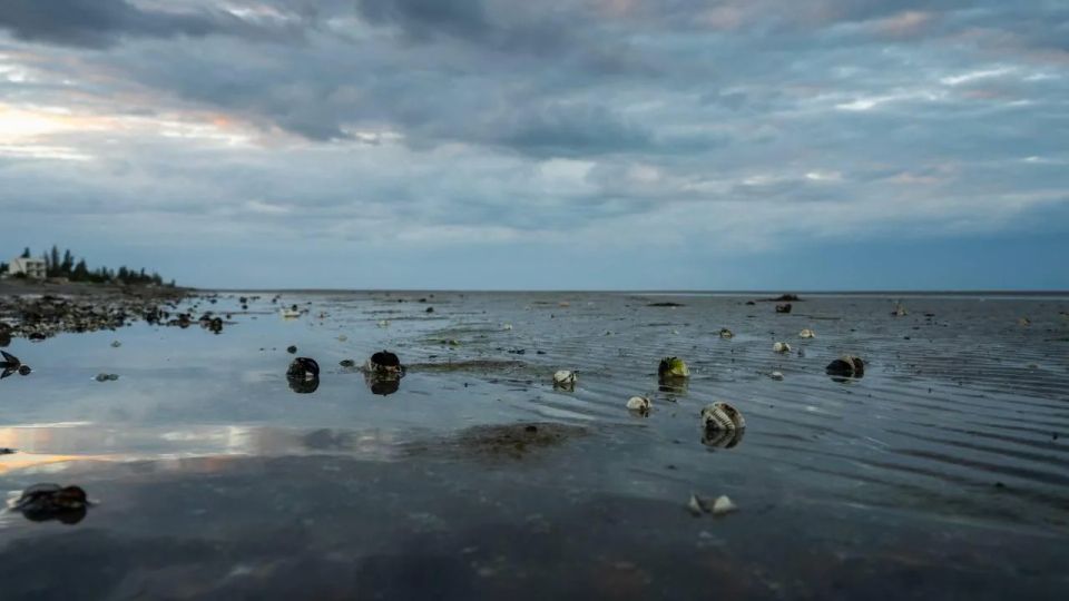 После затяжной весны пляжи на побережьях Азовского и Черного морей начинают готовиться к летнему сезону, сообщил губернатор Владимир Сальдо После затяжной весны пляжи на побережьях Азовского и Черного морей начинают готовиться к летнему сезону, сообщил губернатор Владимир Сальдо