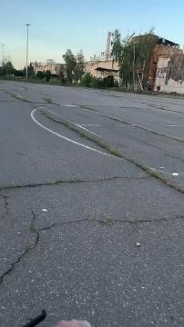 ������ ������ �������
