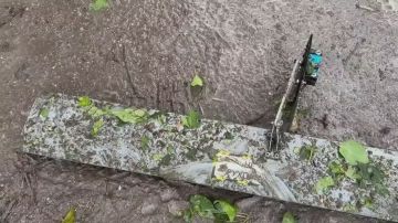 ���� ������� �����, ����� ������� ���������� ��� ����� ���� ��� � ���������, �������� �����-������ �����������