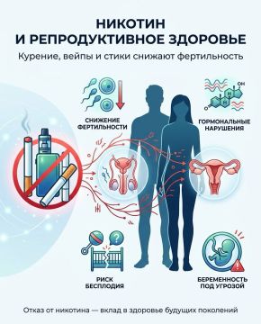 Влияние никотина на репродуктивную систему: риски для будущего здоровья