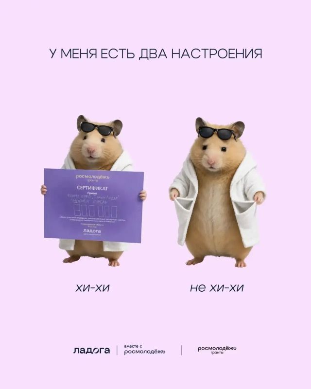 Форум «Ладога» — место, где 1 миллион за идею — не шутка, а реальность