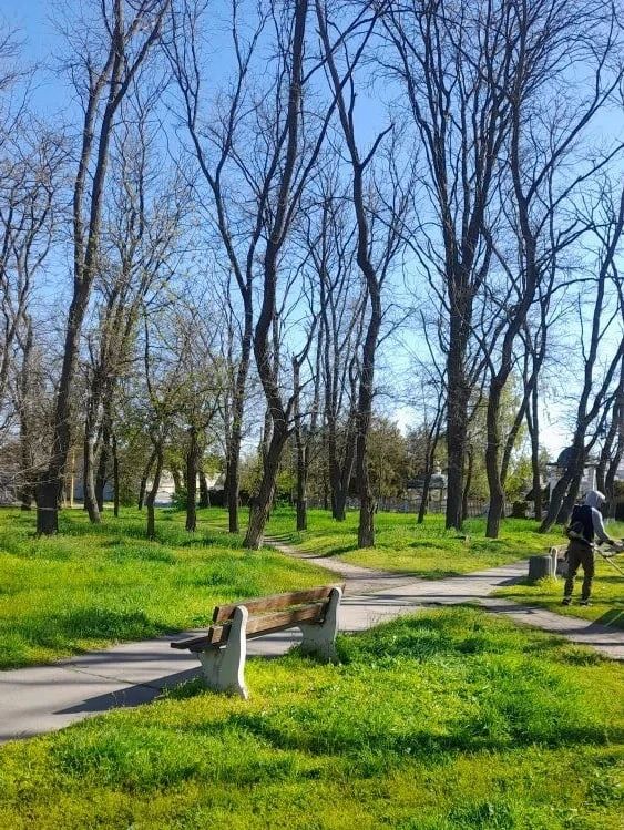 В селе Новониколаевка Скадовского округа проведена уборка территории В селе Новониколаевка Скадовского округа проведена уборка территории