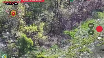 ����������� �����������.. ��������� ������-��������� 4-� ������� ���� ��������� � ���������� ������ ���������� �������������� ����������, ��� ��������������� �������, �������, ������ ������ � ������������