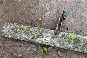 ���� �������� � �������� � ������ 20 �������: � ���������� ������� ��� ���������� ������������ ������� � ������ ����