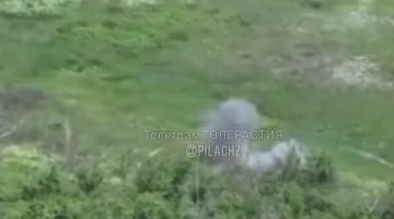 ���������������� �����������: