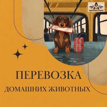 Херсонтранс: Уважаемые пассажиры! Уведомляем об изменениях в правилах перевозки животных