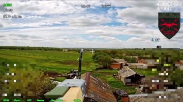��������� FPV-������ ���������� ����� ����������� ������ ������������ �������� � ���������� ������������ ���������� � ������� �����, ������������� � �������� ���������������� ��������