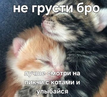 �������� ����� ������� ������ ����� �� ������������ � � ������� �� 10 000 � �����