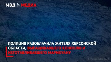 ������� ����������� ������ ���������� �������, ������������� ������� � ���������������� ���������
