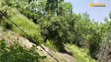 ���� �� �������: ����������� ����������� ����� "�����" ��������� ���������� ������������, ����� ����, ������� � ������� ������ ���