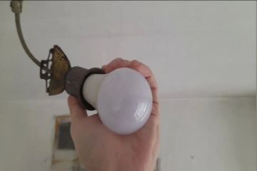 � ���� ������� ���������� ������� �������� ��������� ����