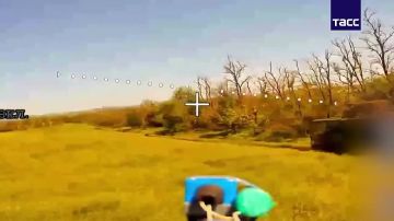 ���� �� �������: ��������� ���� ����������� "�����" ������� ������� ��� � ����������� �������