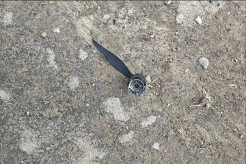 ����� �����������, ������� �� �������� � ������ ���: ������� ���������� ���������� ������� ��������������
