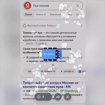 Вслед за мультиком про пухососов вышла игра